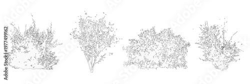 Vector set of shrubs and bushes in elevation view for use in architectural drawings