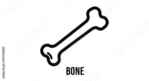 A simple black and white line drawing of a bone with the word bone underneath it