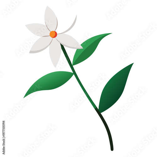 flower isolated on white background