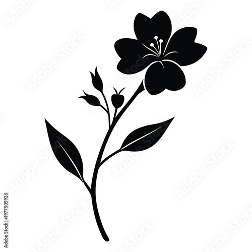agrostemma githago flower silhouette on white background