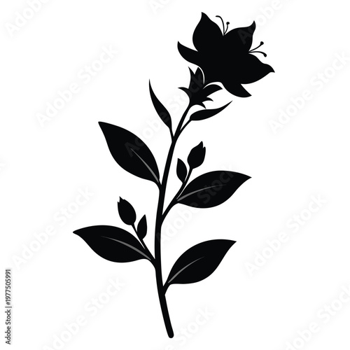 black and white flower