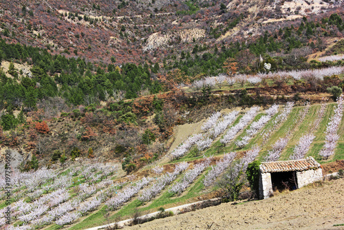 Paysage printanier en moyenne montagne