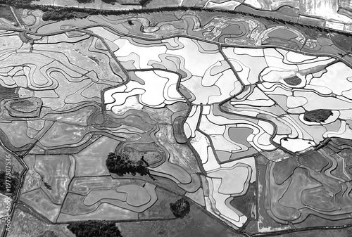 Wallpaper Mural aerial of rural landscape like rice paddies but fields near Porto Alegre, at river Rio Jacuí near  Porto Batista Torontodigital.ca