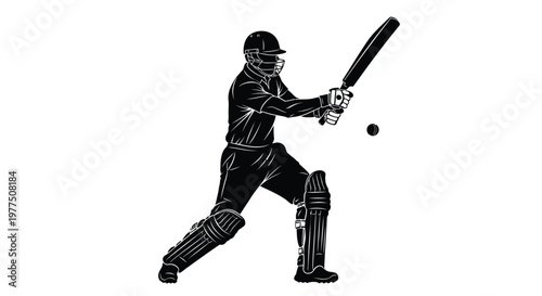 A cricket batsman prepares to hit a ball dramatic black silhouette