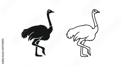 Ostrich Silhouette Designs: Unique Bird Art & Illustrations Vector