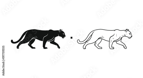 Black Panther vs Cougar: Feline Anatomy Comparison Vector