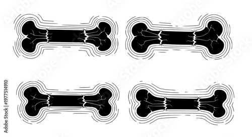 Veterinary X Ray Bone Vector with Visible Fracture Lines