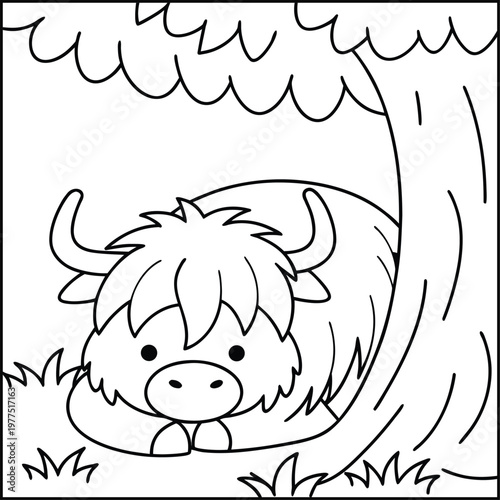 A cute highland cow hiding behind a tree in a field