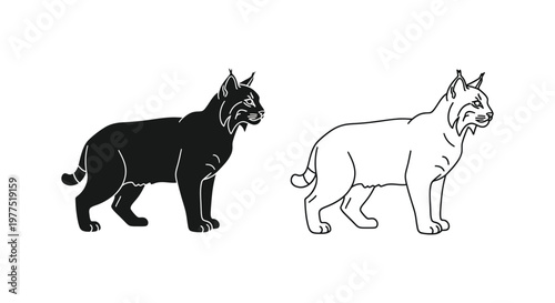 Wildcat vs Lynx: Feline Comparison Guide Vector