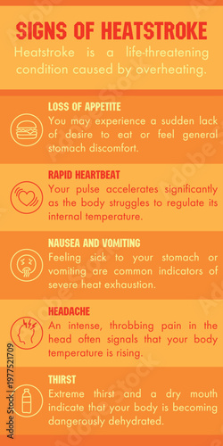 Vertical medical infographic banner explaining signs of heatstroke with descriptive icons. Information for summer health safety and fever prevention for adults and children.