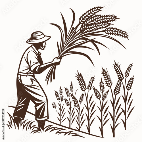 Man in a hat harvesting wheat in a field with a bundle of wheat in his hands
