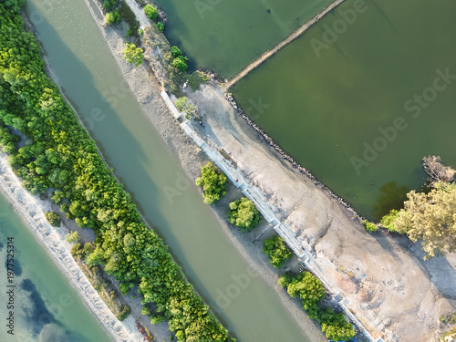 Aerial View of Fish Ponds and Mangrove Forest Along the River Bank
