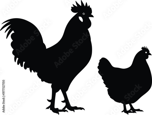 Black silhouette of a large rooster standing next to a smaller hen isolated on a white background showing poultry farm birds in profile view with detailed feathers and combs