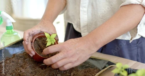 African nonbinary gardener holding seedling over soil tray, transplanting into clay pot for roots