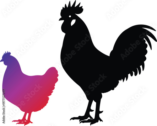Black silhouette of a standing rooster next to a smaller hen with a purple and pink gradient fill isolated on a plain white background