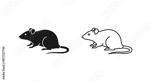 Black and White Lab Rat Comparison Guide Vector