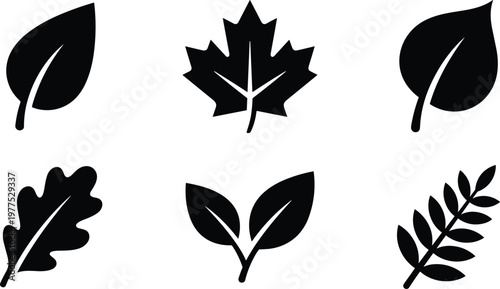 Collection of six different leaf outlines in a grid