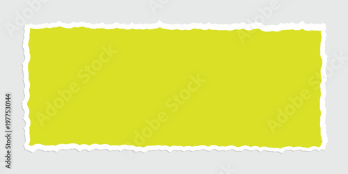 Torn Paper with space for text with gray background,Vector illustrator