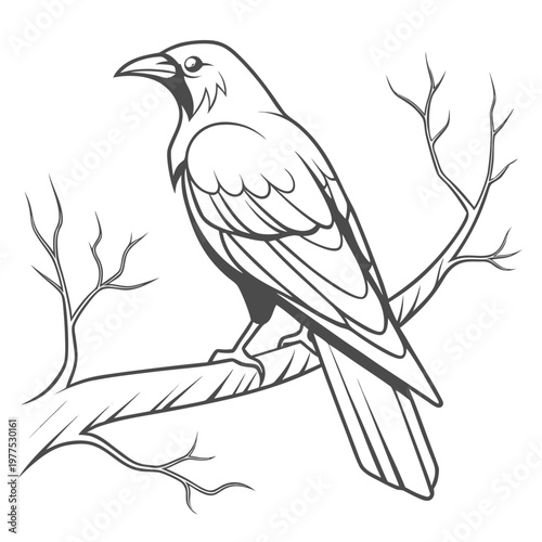 A detailed black and white illustration depicts a raven perched on a bare branch showcasing its sleek feathers and focused gaze