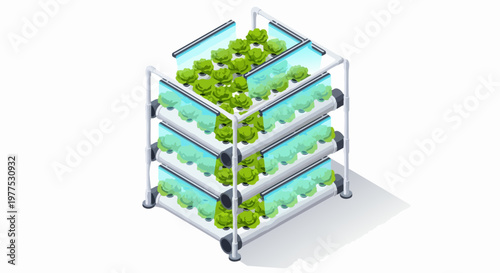 Isometric Vertical Farming Hydroponic System for Urban Agriculture with LED Grow Lights and Green Lettuce on White Background