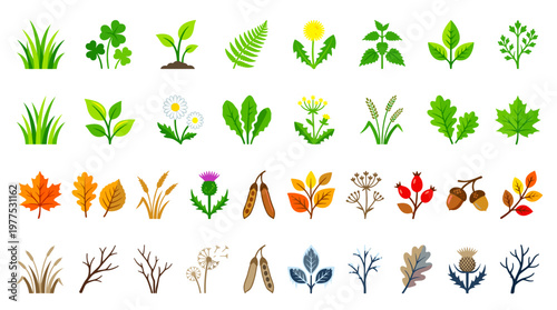 A comprehensive set of stylized flat design plant icons depicting a wide array of natural elements across all seasons, featuring leaves, grasses, and botanical species