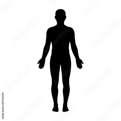 Find human silhouette vector image for anatomy study and body shape reference black and white art