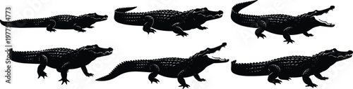 Crocodile and alligator silhouettes set, reptile wildlife collection, predatory animals in different poses, nature illustration, dangerous species, vector design