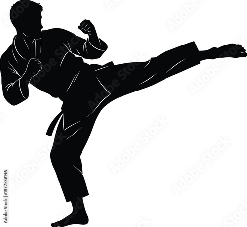 Karate fighter silhouette performing high kick, martial arts action pose, self defense training concept, combat sport, strength, discipline, dynamic movement illustration
