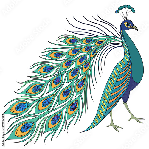 A vibrant stylized illustration depicts a peacock with its elaborate tail feathers fully displayed showcasing intricate patterns and colors high quality professional