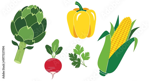 A colorful vector illustration of various vegetables including artichoke, bell pepper, corn, beetroot, and herbs.
