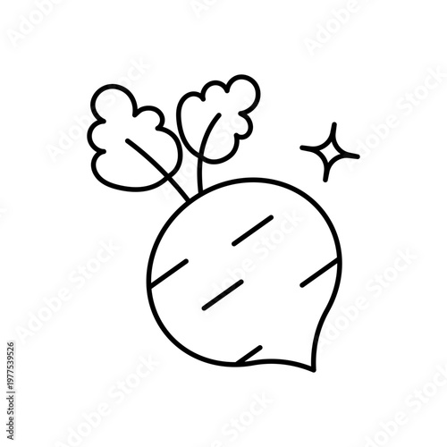 Beetroot vector icon