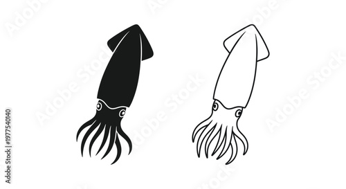 Squid Illustration Vector Designs Vector
