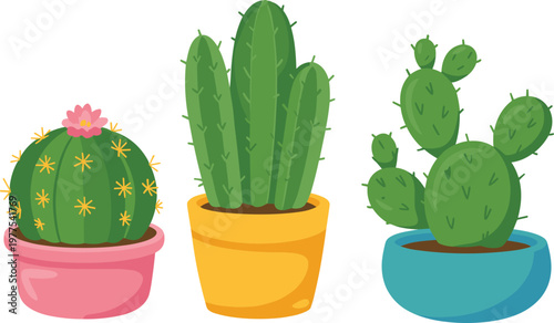 Detailed vector illustration of three potted cactus species including barrel with pink flower, tall green succulent pillars, and prickly pear in colorful ceramic pots.