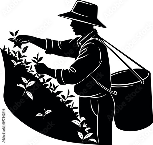 Vintage illustration of a tea picker a black and white depiction of labor and harvest