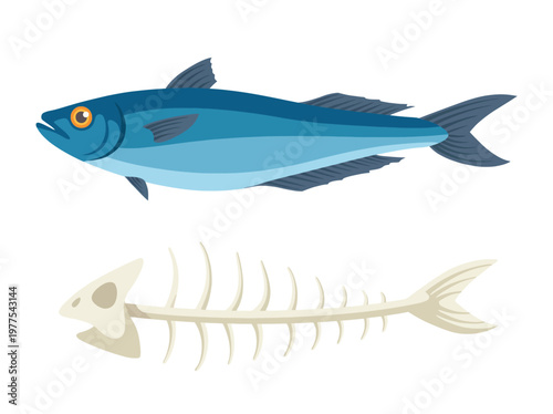 This educational illustration contrasts a whole fish with its skeleton, highlighting biological elements and natural forms while promoting awareness of aquatic life.