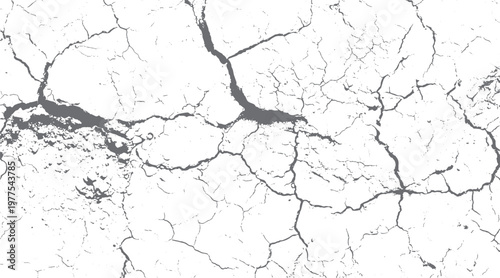 Cracked dry earth surface with irregular grey fissures and small dots on white background