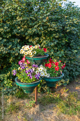 Flower planter with colorful blooms in tiered arrangement outdoors