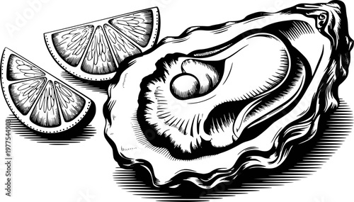 Vintage engraving style oyster with lemon slices white background, seafood citrus
