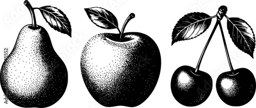 Vintage style pear, apple, and cherries with stippling detail white background fruit