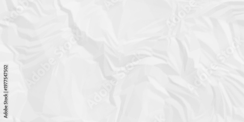 Creased paper page detail wrinkle blank white canvas rough blank design. old paper crumple texture wrinkle parchment empty letter texture.