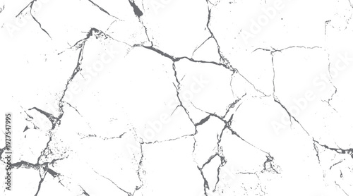 White background with dark gray abstract cracked texture pattern and small dots