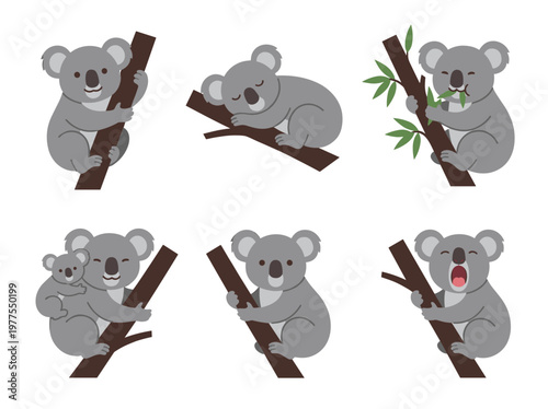 Koala vector set featuring six isolated scenes: sleeping, eating, mother with baby, and yawning