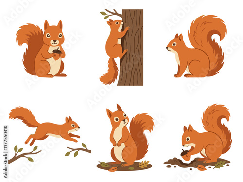 Squirrel character set in flat vector style: isolated scenes of jumping, climbing, and eating