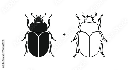 Beetle Identification Guide: Dark vs Light Beetle Types Vector