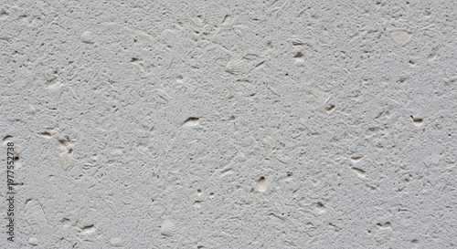 A neutral gray surface featuring a high density of small atmospheric pores and fine sandy grain. Uniform lighting highlights the material's structural details