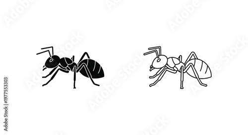 Ant Species Comparison Guide: Worker vs Queen Ants Vector