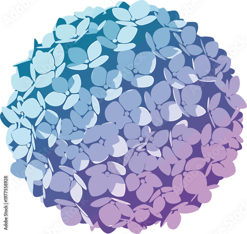 Gradient Hydrangea Flower Head, Soft Blue to Purple Hues