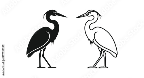 Black & White Bird Silhouettes: Heron vs Egret Comparison Guide Vector