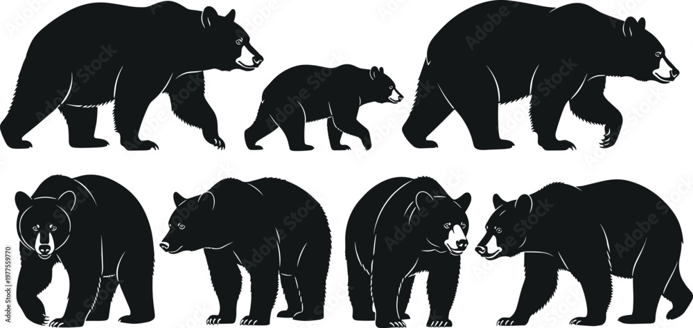 Fototapeta premium Bear Silhouette Collection Featuring Adult and Cub Grizzly Bears in Walking and Standing Poses Wildlife Animal Vector Set for Design.