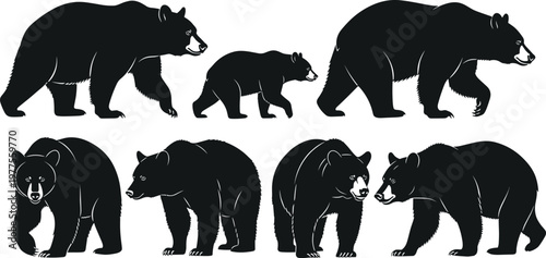 Bear Silhouette Collection Featuring Adult and Cub Grizzly Bears in Walking and Standing Poses Wildlife Animal Vector Set for Design.